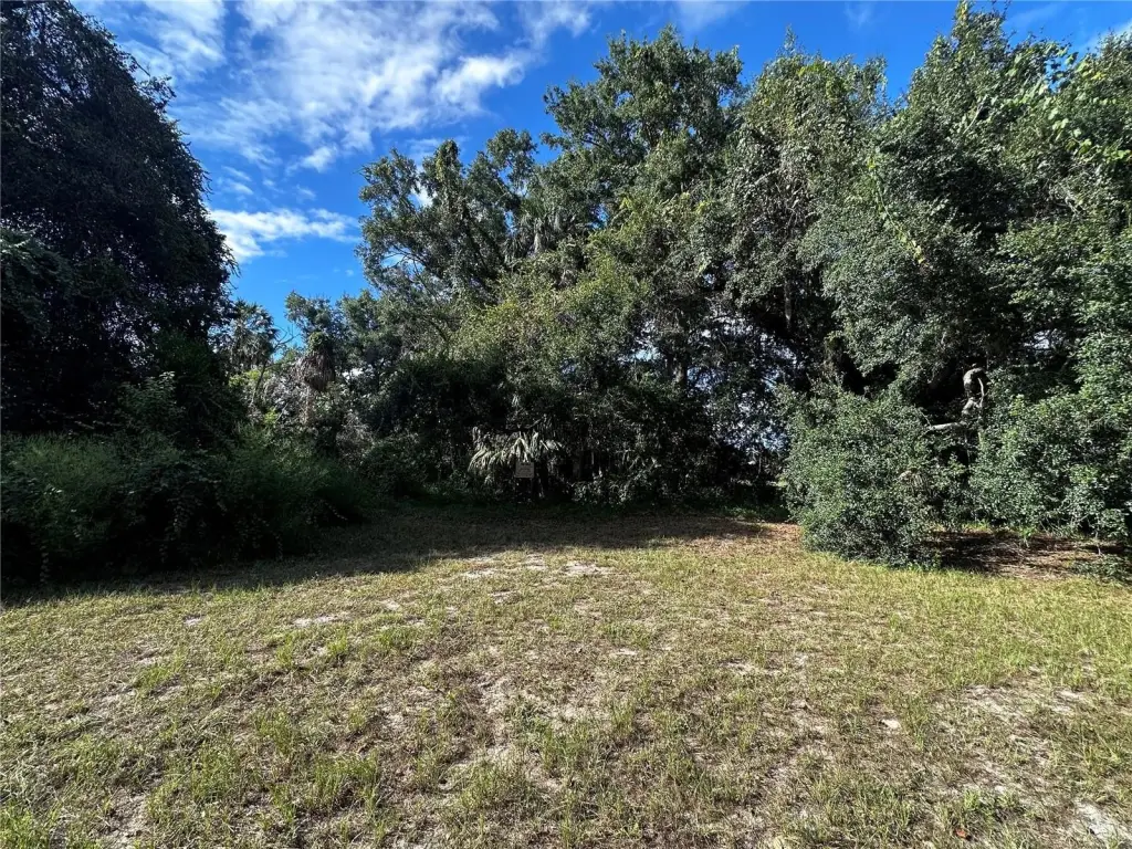 Picture 3