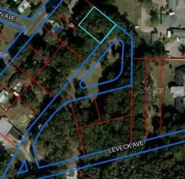 Inglis, Florida Land Opportunity