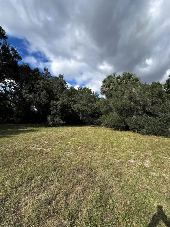 Picture 20