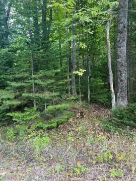 6.29 Acres in Brownville, Maine