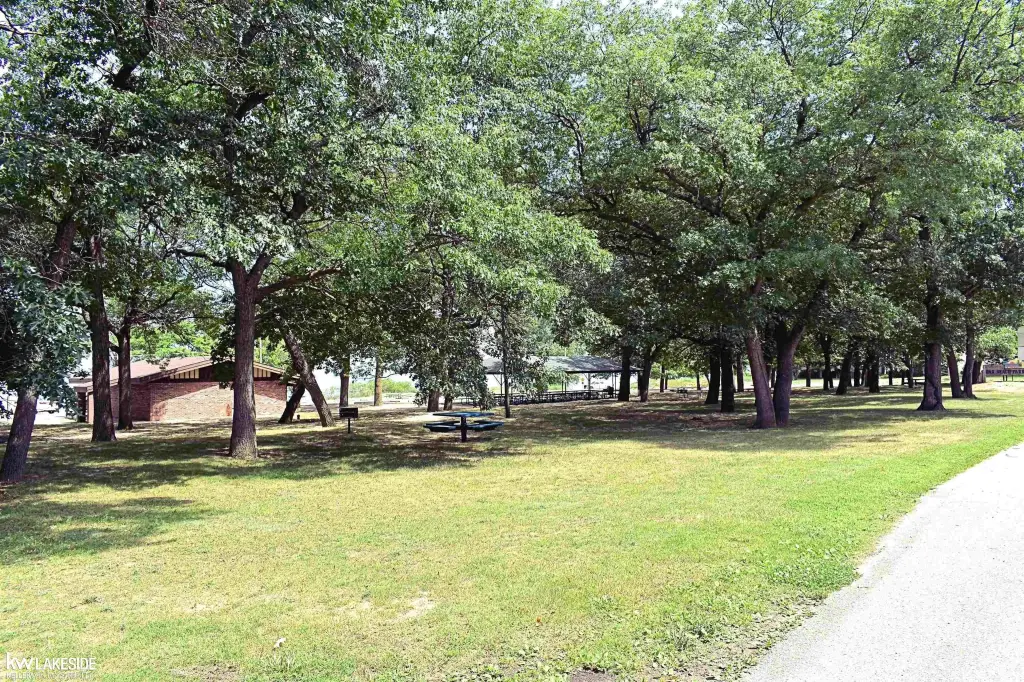 Picture 14