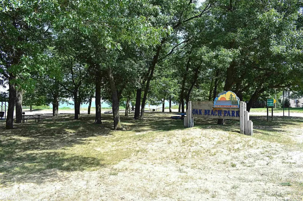 Picture 10
