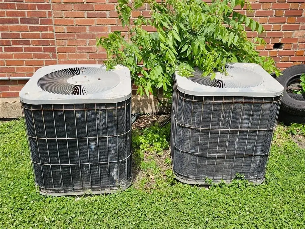 Picture 32