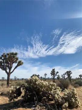 Buildable Lot with Fantastic Views