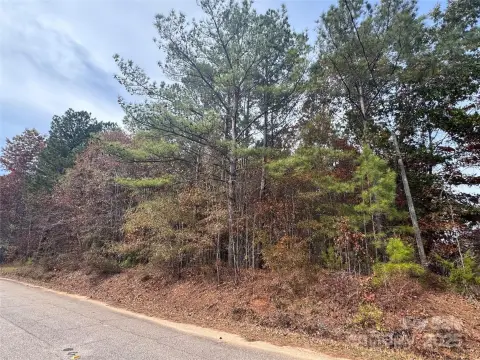 Land in Blackstock, SC