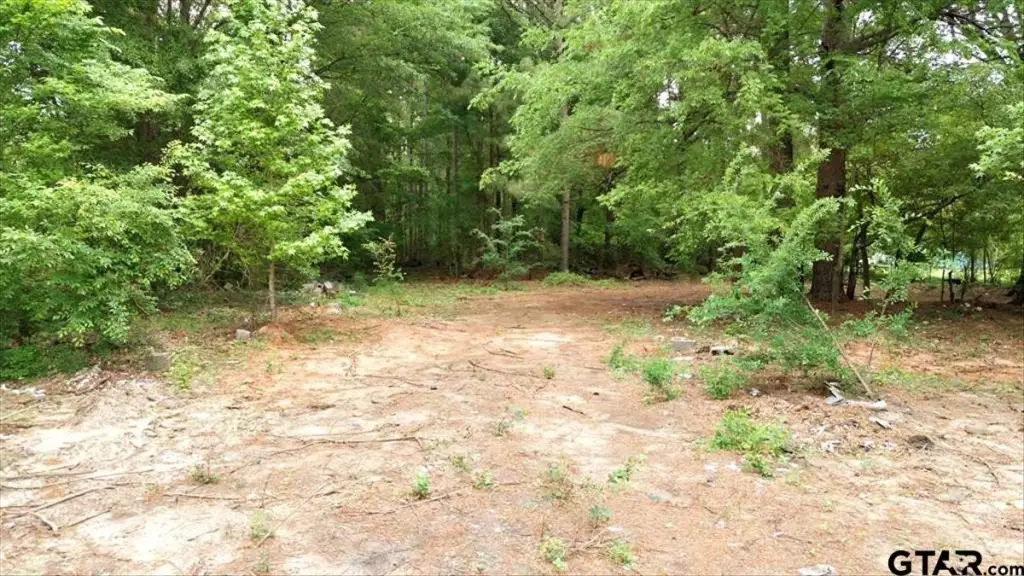 Picture 10