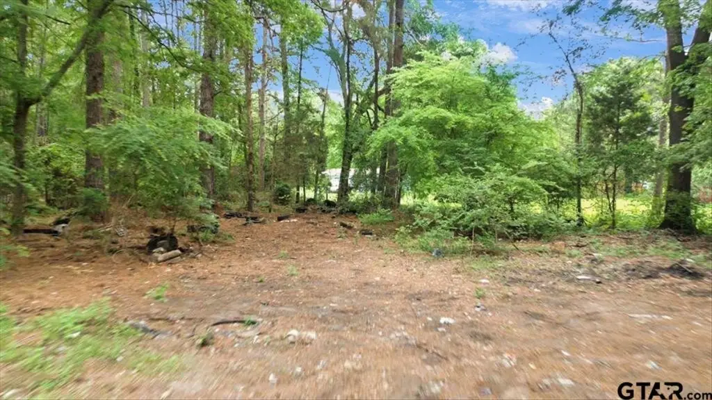 Picture 17