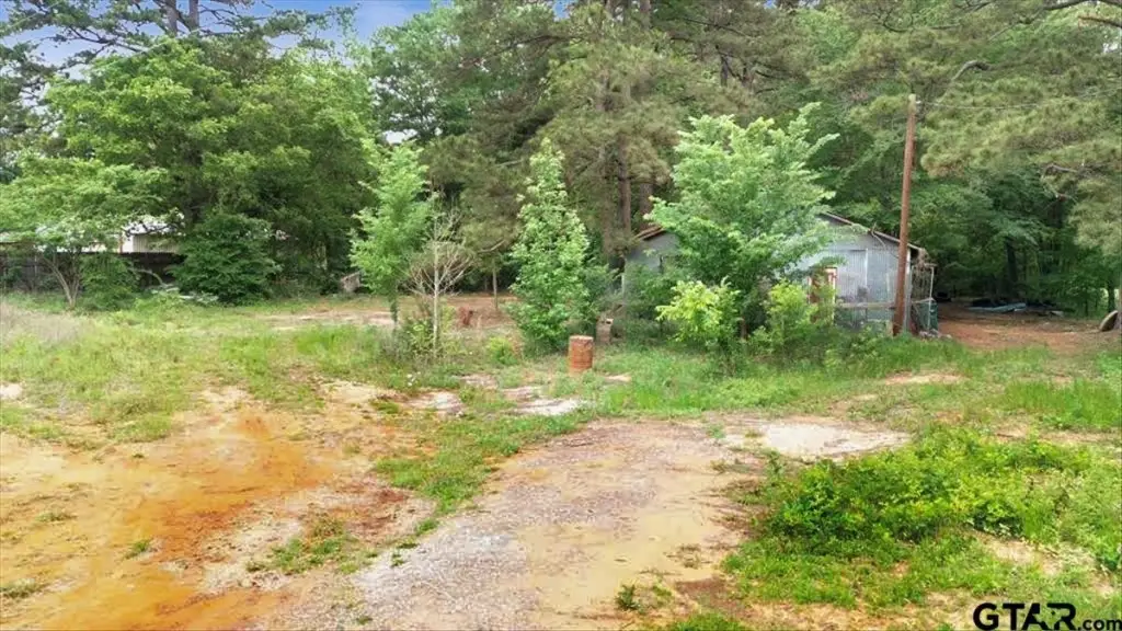 Picture 14
