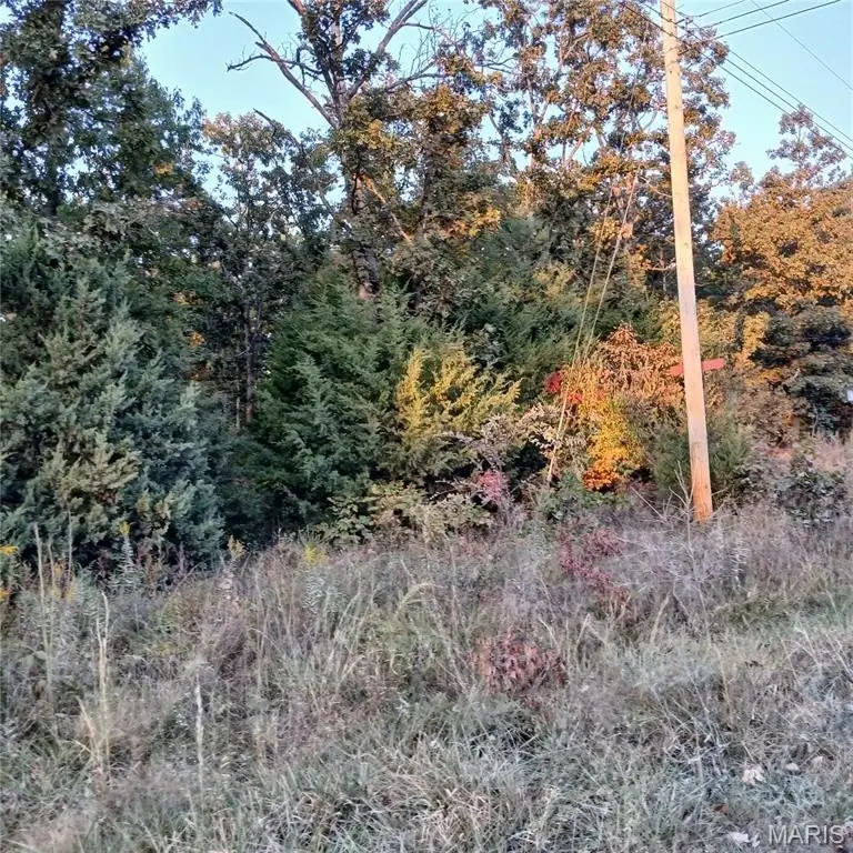 Picture 5