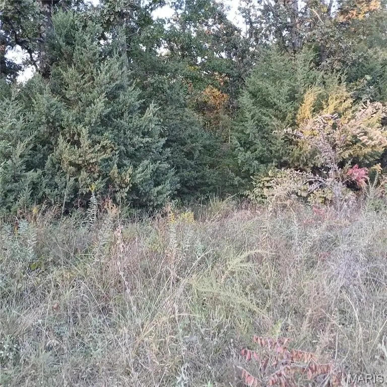 Picture 4