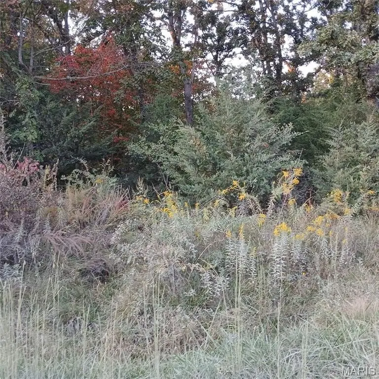 Picture 3