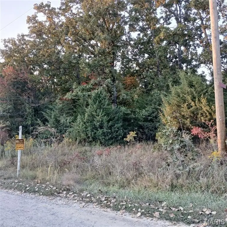 Picture 2