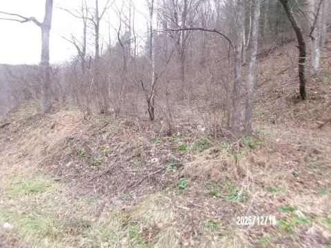 10 Acres Vacant Land, ATV Access