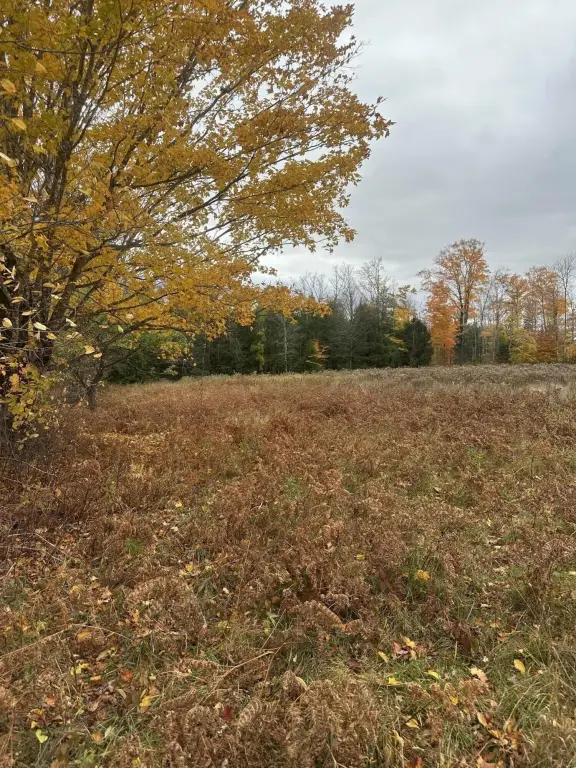 Picture 4