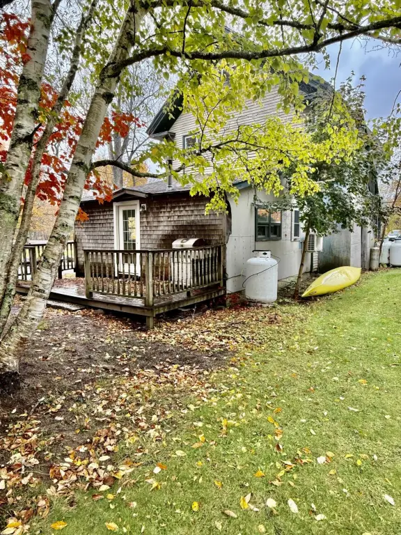 Picture 7