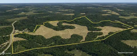 218-Acre Farm with Row Cropland