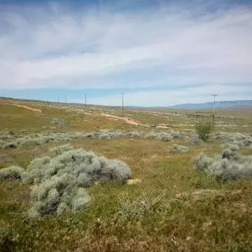 Del Sur Land For Sale