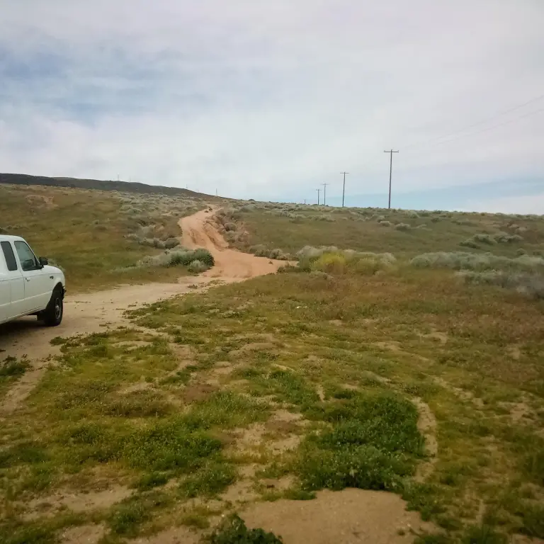 Picture 3