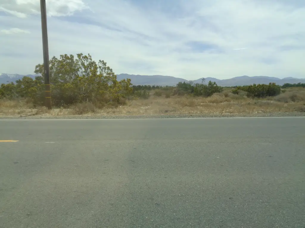 Picture 28
