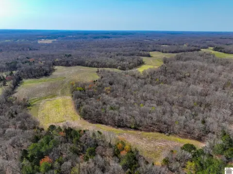 Calloway County Hunting and Income