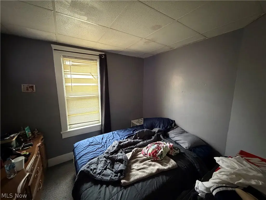 Picture 11