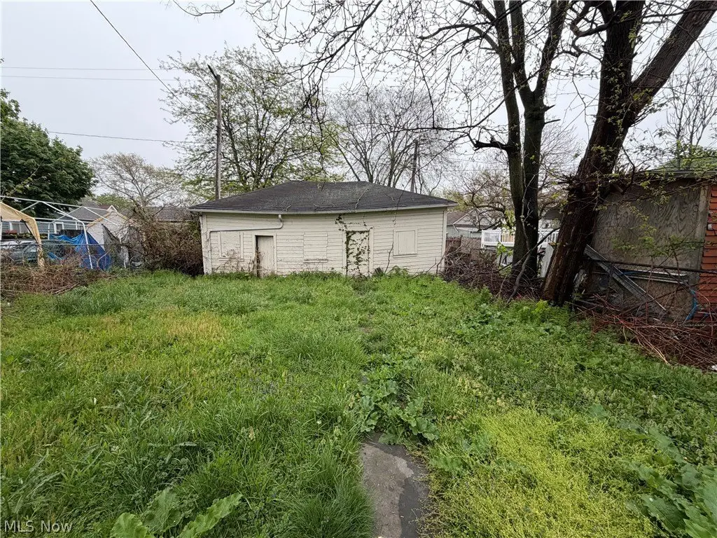 Picture 37
