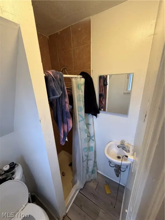 Picture 16