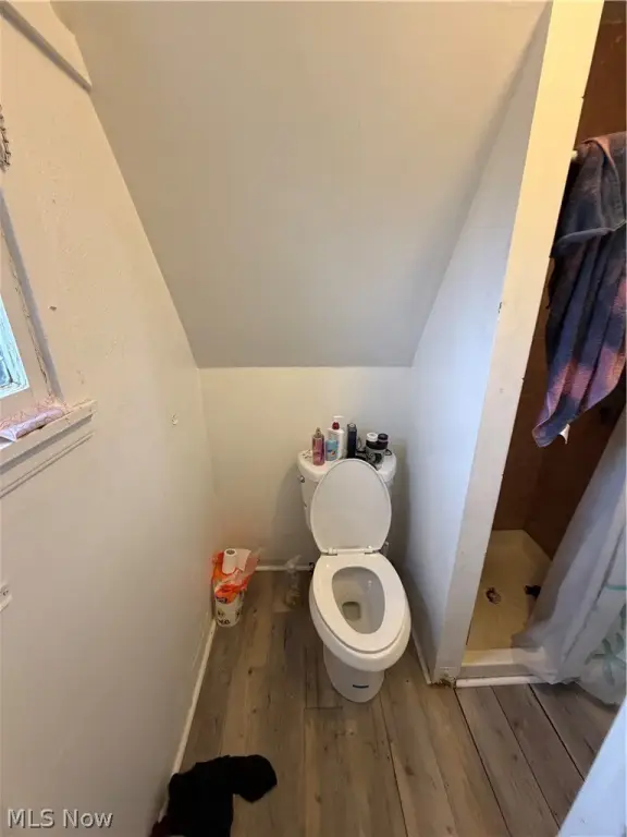 Picture 15