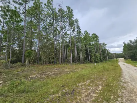 Wooded Land in Archer, Florida