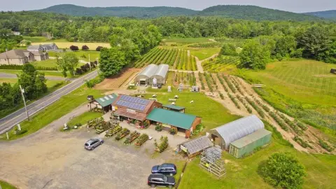 Profitable Farm, Winery, and Greenhouse