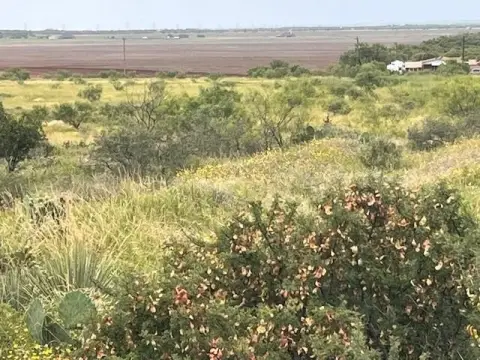Unrestricted Land Near Merkel, Texas