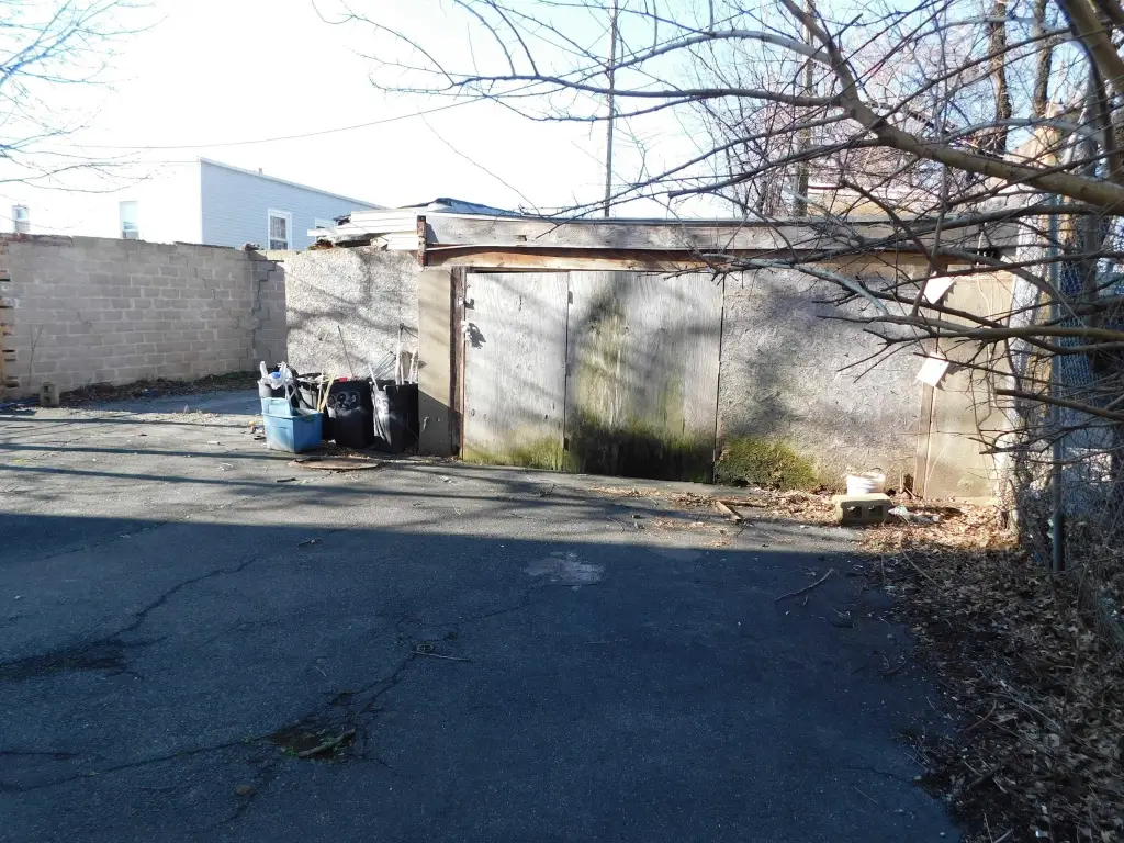 Picture 5