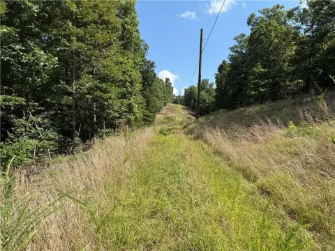 7.42 Acres in Carroll County