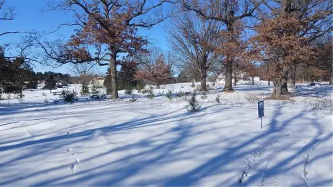 Chetek Land: Build Your Dream