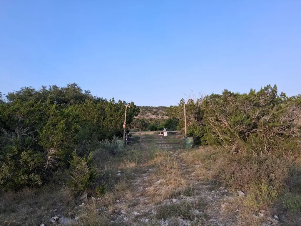 Picture 39