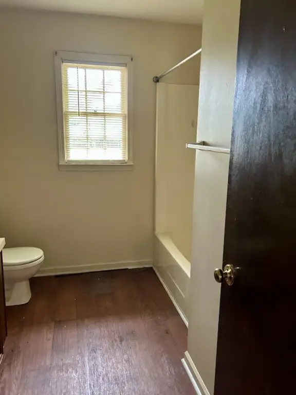 Picture 23