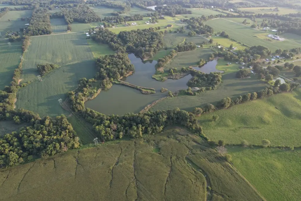 Picture 81