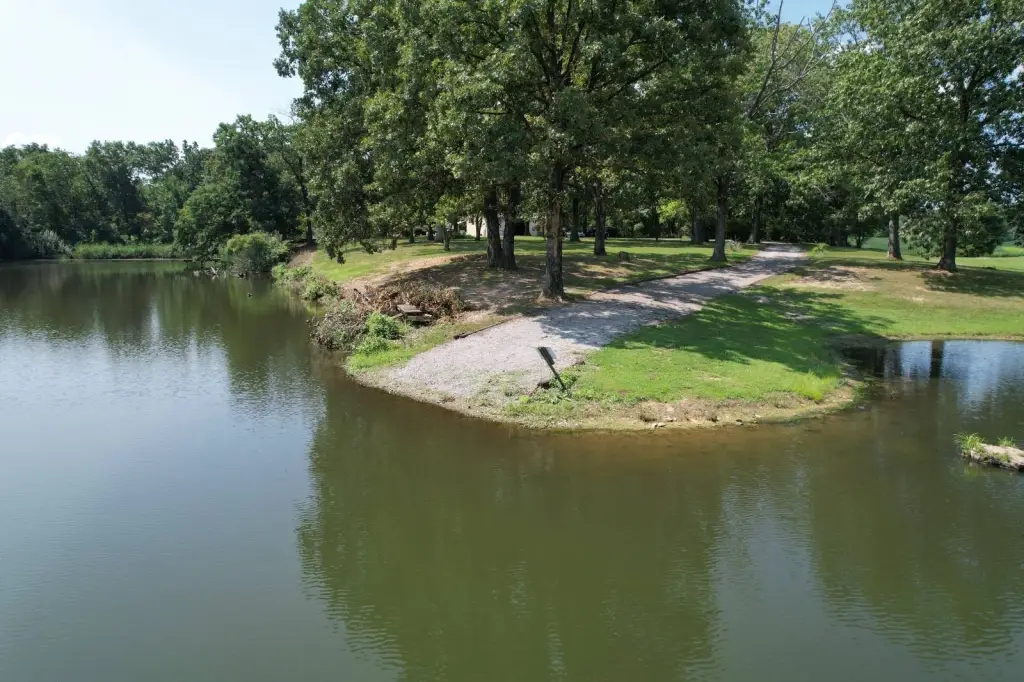Picture 8