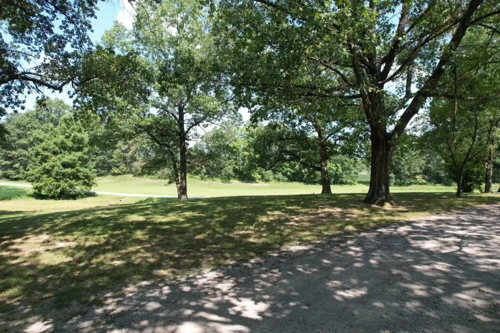 Picture 13