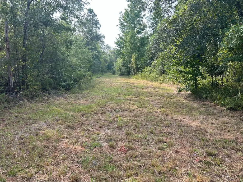 Picture 38
