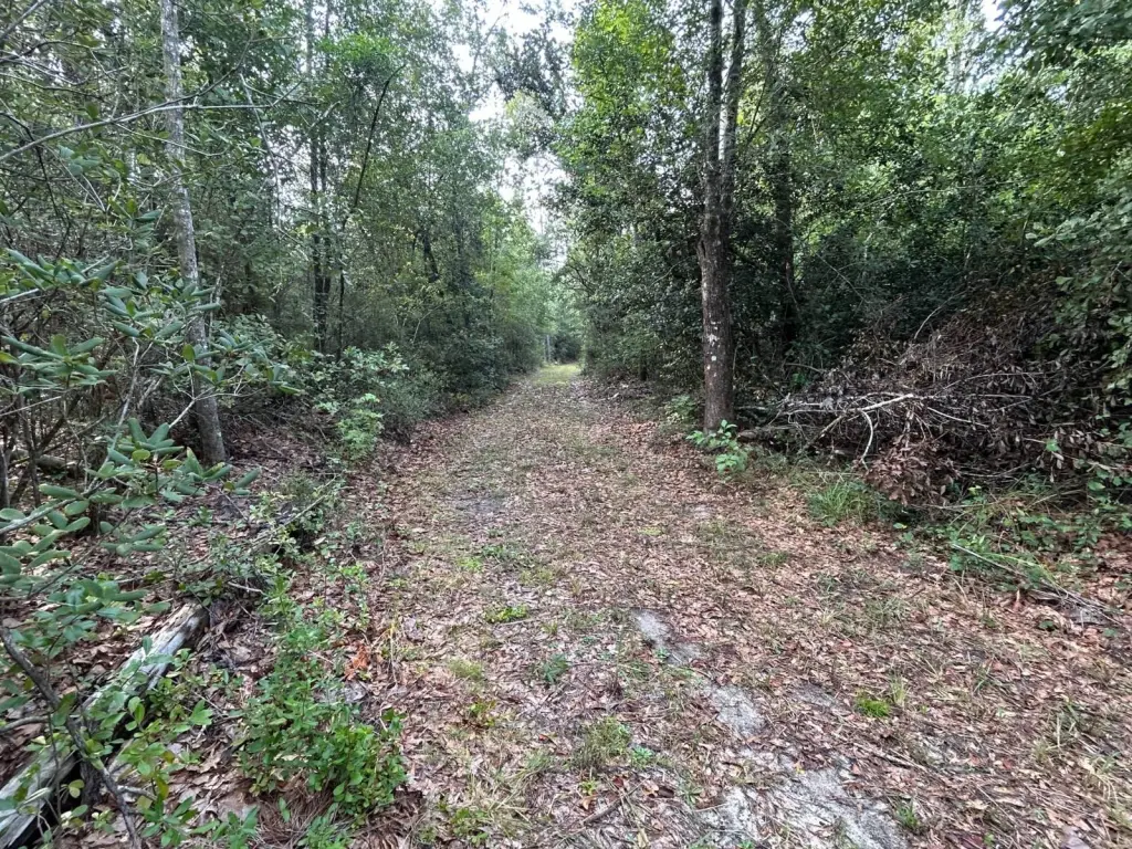 Picture 35