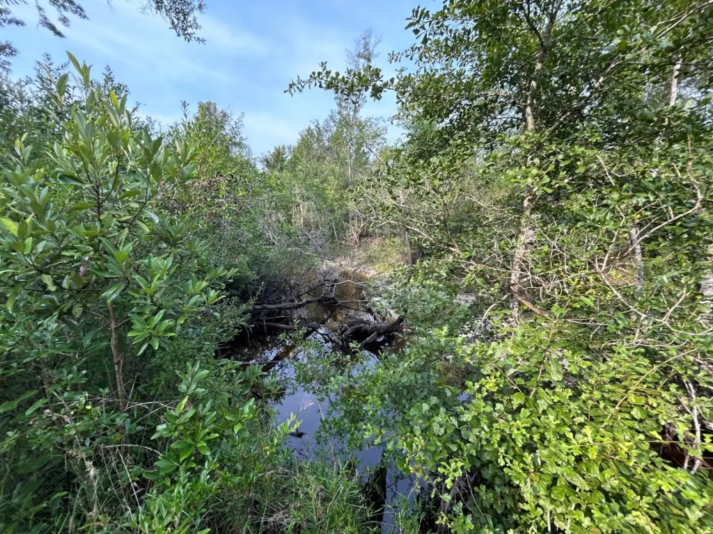 Picture 36