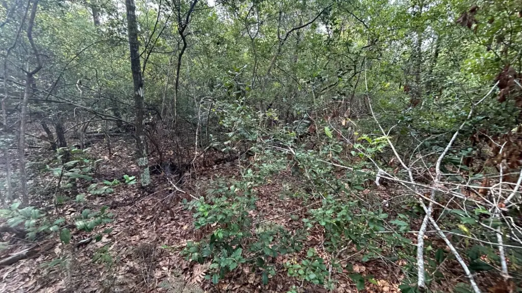 Picture 30