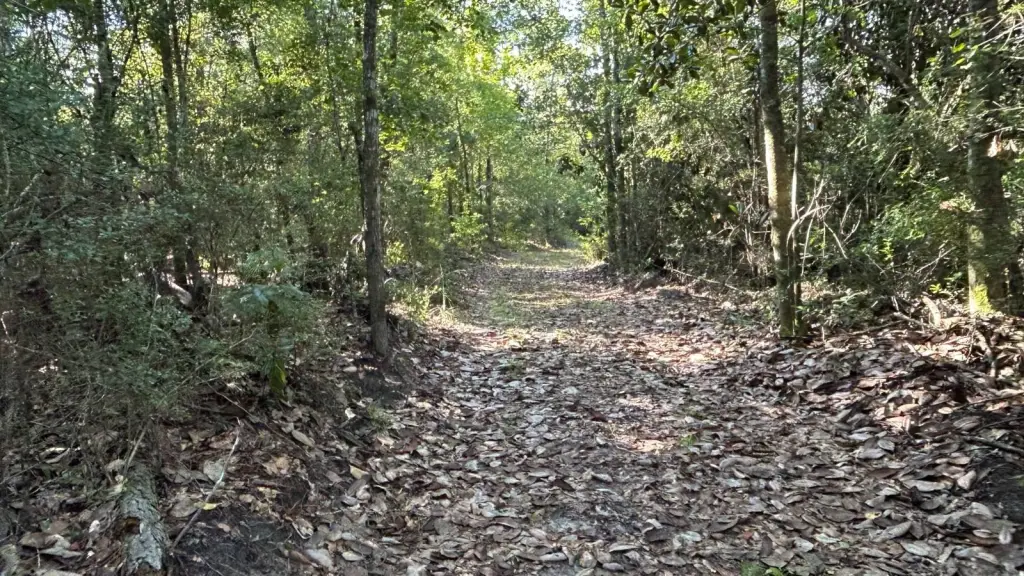 Picture 45