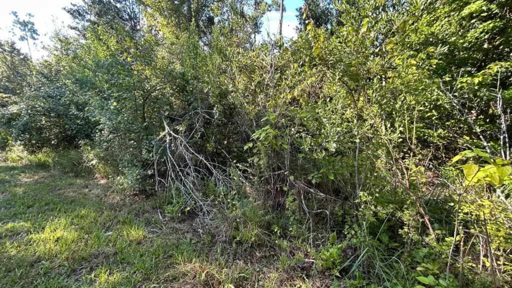 Picture 54