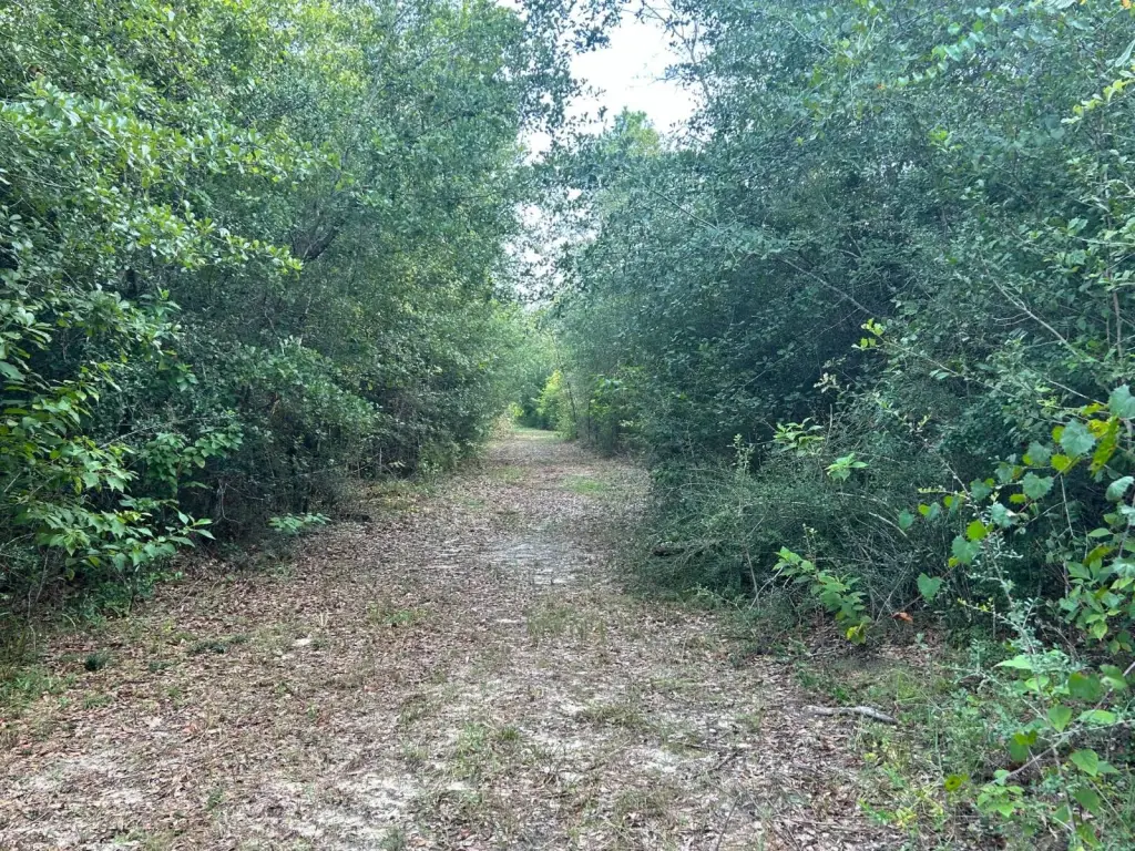 Picture 40