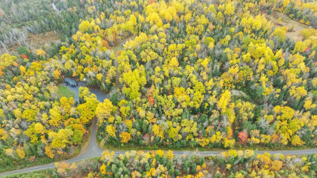 Picture 11