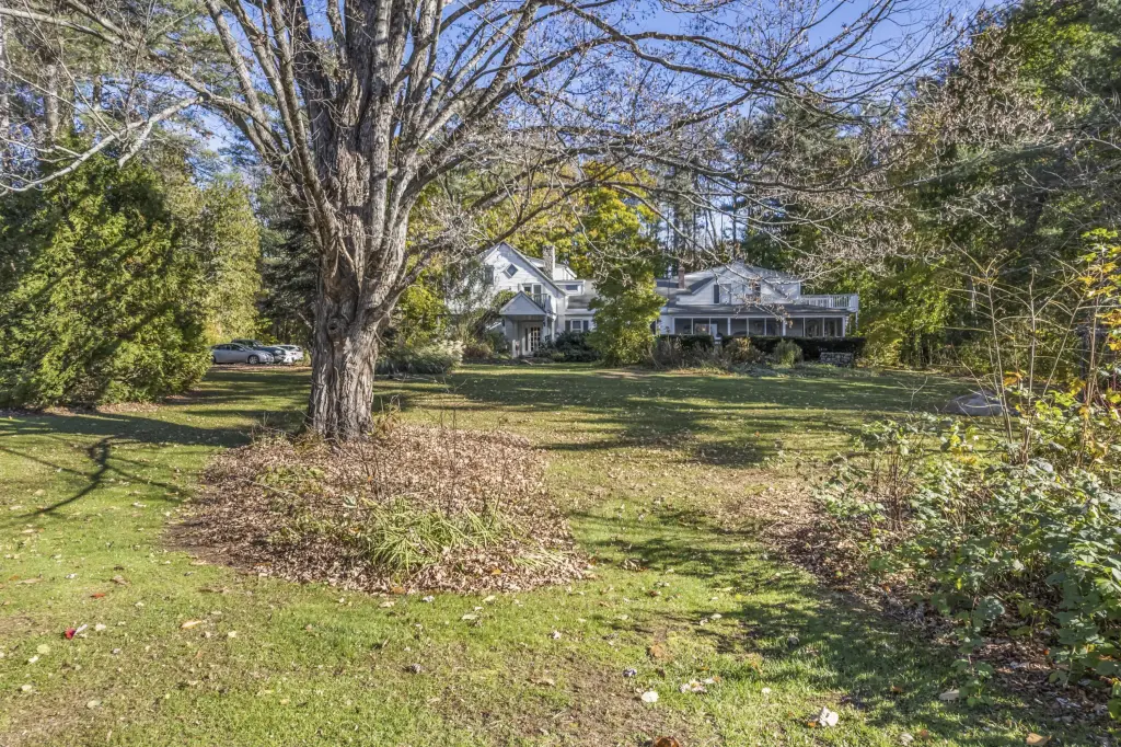 Picture 15
