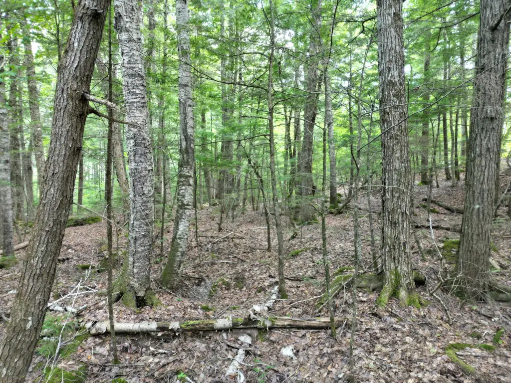 Picture 6