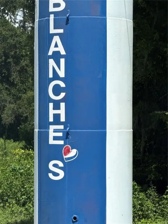 Picture 8